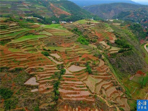 云南会泽山地种植什么好?会泽到镇雄杉树有多少公里-图2 云南会泽山地种植什么好?会泽到镇雄杉树有多少公里-图2