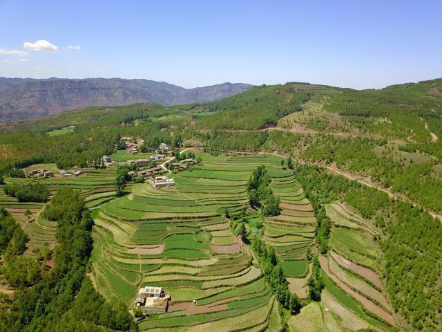 云南会泽山地种植什么好?会泽到镇雄杉树有多少公里-图3 云南会泽山地种植什么好?会泽到镇雄杉树有多少公里-图3