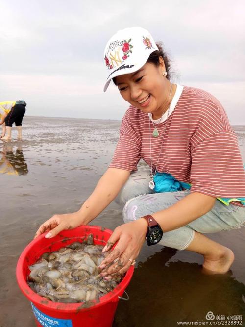 宁海薛岙码头赶海时间?北仑历史最低温度是多少-图2 宁海薛岙码头赶海时间?北仑历史最低温度是多少-图2