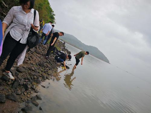 宁海薛岙码头赶海时间?北仑历史最低温度是多少-图3 宁海薛岙码头赶海时间?北仑历史最低温度是多少-图3