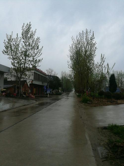 南阳唐河下雨了吗?唐河天气多少度-图2 南阳唐河下雨了吗?唐河天气多少度-图2