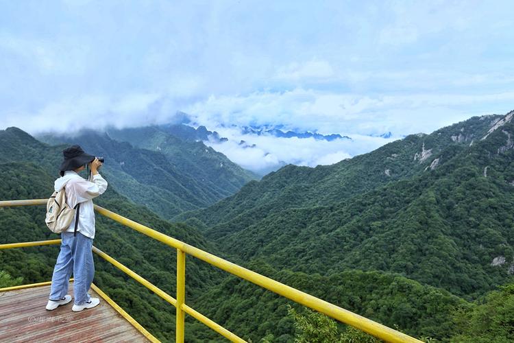 终南山杜鹃几月份开放?终南山现在气温多少度-图2 终南山杜鹃几月份开放?终南山现在气温多少度-图2