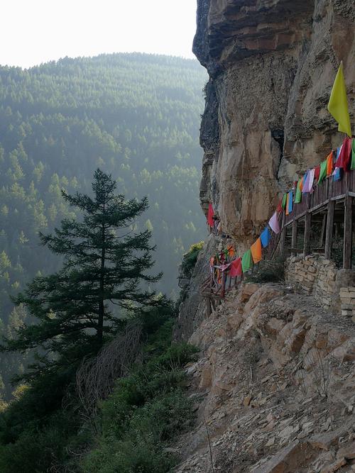 山西省芦芽山景区垂直高度?忻州芦芽山海拔多少-图2 山西省芦芽山景区垂直高度?忻州芦芽山海拔多少-图2