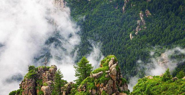 山西省芦芽山景区垂直高度?忻州芦芽山海拔多少-图3 山西省芦芽山景区垂直高度?忻州芦芽山海拔多少-图3