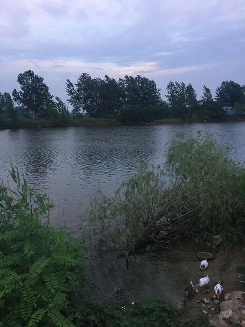 阜阳市太和县最近几天天气情况是否有雨?辽宁锦州太和区现在气温多少度-图2 阜阳市太和县最近几天天气情况是否有雨?辽宁锦州太和区现在气温多少度-图2