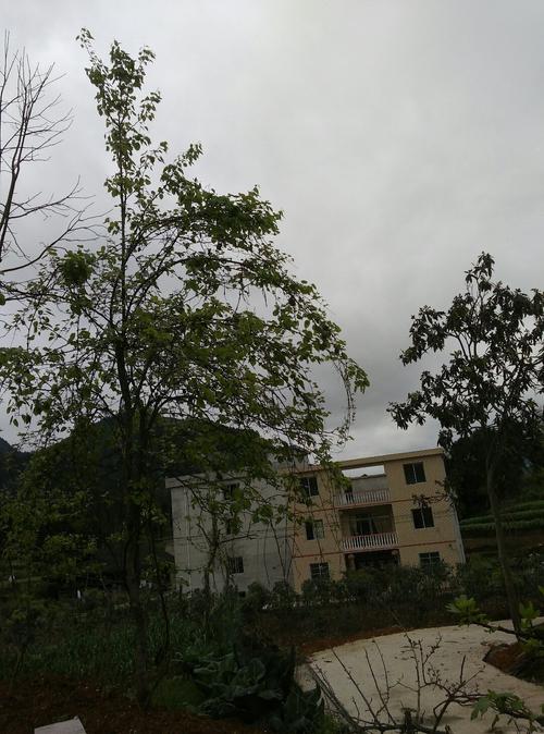 务川正安道真地理地貌气候?正安最高气温有多少度-图3 务川正安道真地理地貌气候?正安最高气温有多少度-图3