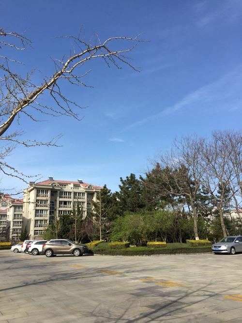 烟台福山区气候特点?山东莱州历史最低温度是多少-图2 烟台福山区气候特点?山东莱州历史最低温度是多少-图2
