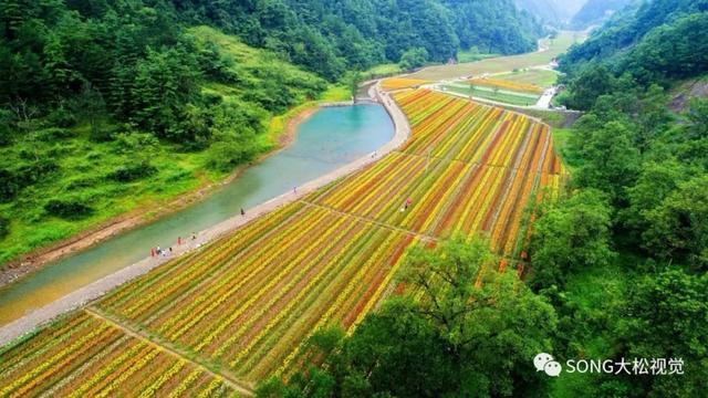 广元花千谷景区?广元李家夏天的温度最高多少-图1 广元花千谷景区?广元李家夏天的温度最高多少-图1