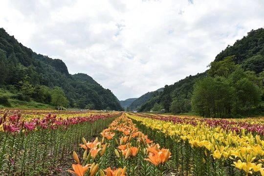 广元花千谷景区?广元李家夏天的温度最高多少-图3 广元花千谷景区?广元李家夏天的温度最高多少-图3