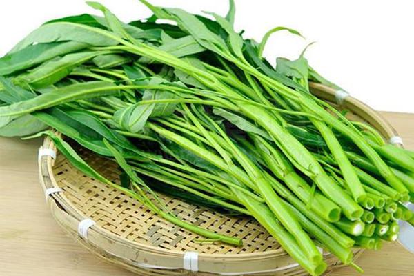 空心菜冬天可以放家里吗?空心菜适合多少度天气-图1 空心菜冬天可以放家里吗?空心菜适合多少度天气-图1