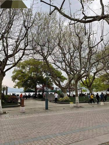 3月份还会冷吗?杭州三月初多少度-图1 3月份还会冷吗?杭州三月初多少度-图1