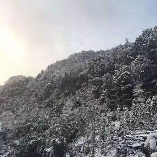今年自贡下雪的概率大不大?四川荣县冬天最低温度多少-图1 今年自贡下雪的概率大不大?四川荣县冬天最低温度多少-图1