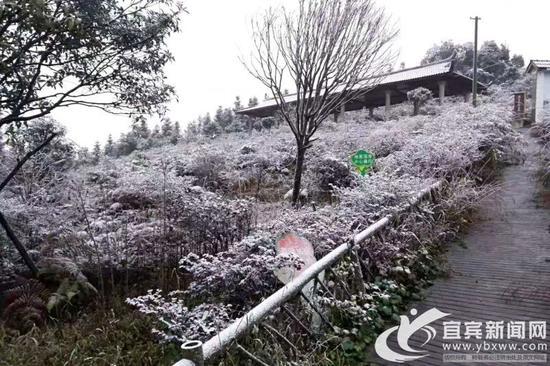 今年自贡下雪的概率大不大?四川荣县冬天最低温度多少-图2 今年自贡下雪的概率大不大?四川荣县冬天最低温度多少-图2
