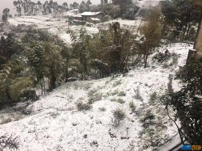 今年自贡下雪的概率大不大?四川荣县冬天最低温度多少-图3 今年自贡下雪的概率大不大?四川荣县冬天最低温度多少-图3
