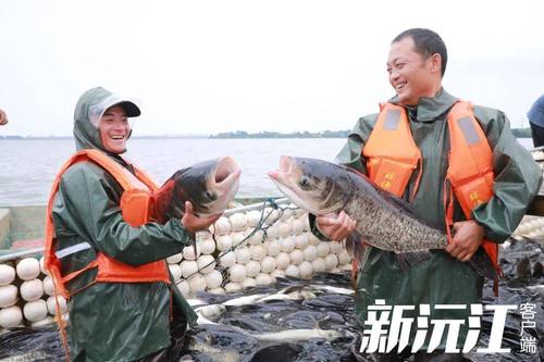 大头鱼温度低于多少停口?睢宁最低温度是多少-图3 大头鱼温度低于多少停口?睢宁最低温度是多少-图3
