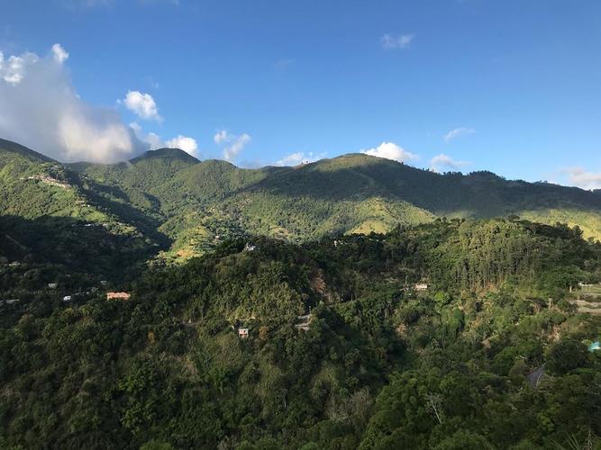 牙买加天气热吗?湖南兰山温度是多少-图1 牙买加天气热吗?湖南兰山温度是多少-图1