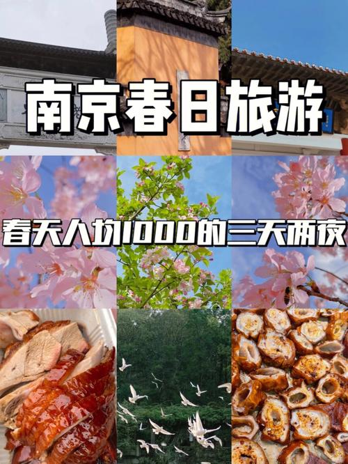 南京三月中旬适合穿啥?三月份南京温度大概是多少-图1 南京三月中旬适合穿啥?三月份南京温度大概是多少-图1