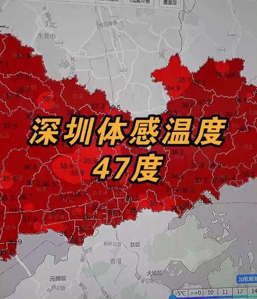 冬天的深圳大概多少度?深圳现在多少度了-图3 冬天的深圳大概多少度?深圳现在多少度了-图3