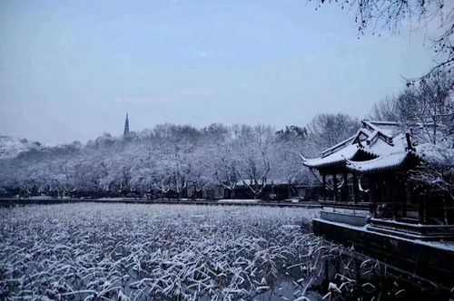 杭州夏天下雪是哪一年?杭州2016年最低温度是多少-图3 杭州夏天下雪是哪一年?杭州2016年最低温度是多少-图3