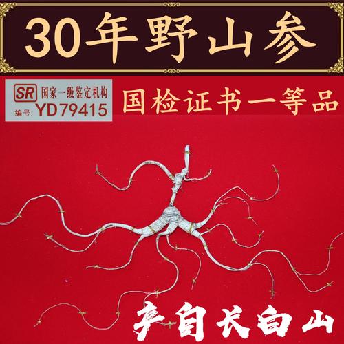 野山参一般多少一克?介绍东北特产人参多少钱-图2 野山参一般多少一克?介绍东北特产人参多少钱-图2