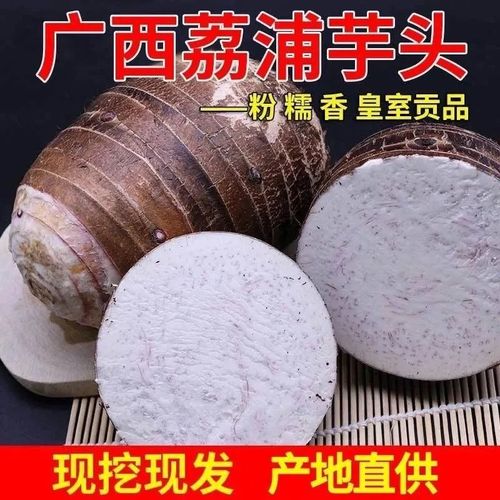 为什么荔浦芋头蒸出来有的是脆的紫的?桂林荔浦今天多少度温度-图3 为什么荔浦芋头蒸出来有的是脆的紫的?桂林荔浦今天多少度温度-图3