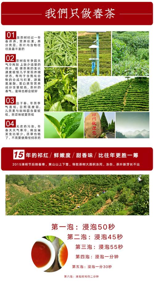 祁红茶科普知识?祁门县最低温度是多少-图2 祁红茶科普知识?祁门县最低温度是多少-图2