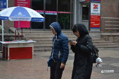 去合肥读书,想了解一下哪里冬天冷不冷,带什么衣服,谢了?合肥2016年最冷的一天多少度电-图3 去合肥读书,想了解一下哪里冬天冷不冷,带什么衣服,谢了?合肥2016年最冷的一天多少度电-图3