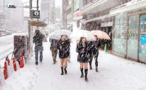 日本东京有几个区?日本最冷的地方多少度-图2 日本东京有几个区?日本最冷的地方多少度-图2