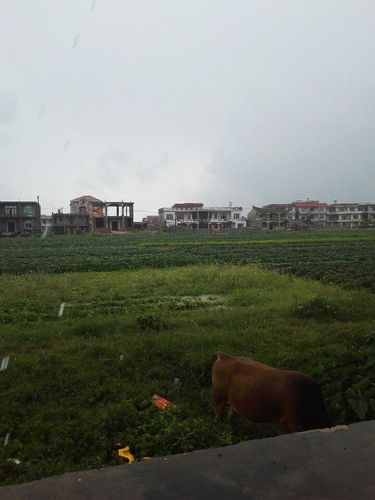 为什么福建莆田有姓许的啊?诸家乡有多少人口-图2 为什么福建莆田有姓许的啊?诸家乡有多少人口-图2