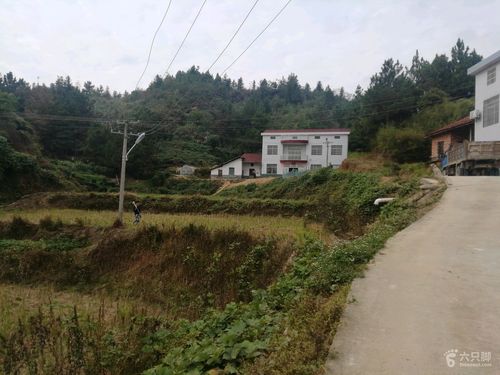 岳阳至月田路加宽吗?岳阳到月田有多少公里-图1 岳阳至月田路加宽吗?岳阳到月田有多少公里-图1