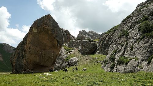 青海天峻县海拔有多高?天峻县县内海拔多少米-图2 青海天峻县海拔有多高?天峻县县内海拔多少米-图2