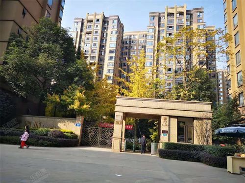 想知道: 德阳市,保利·国际城附近哪有租房?海通达德阳电话区号是多少-图1 想知道: 德阳市,保利·国际城附近哪有租房?海通达德阳电话区号是多少-图1