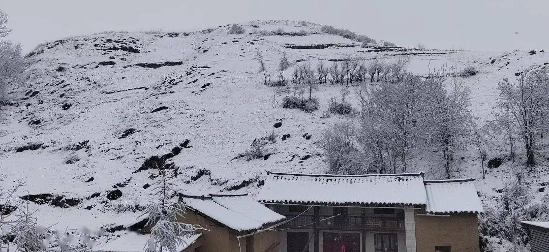 阿联酋下雪吗?西和县历史最冷多少度-图1 阿联酋下雪吗?西和县历史最冷多少度-图1