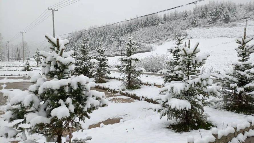 阿联酋下雪吗?西和县历史最冷多少度-图2 阿联酋下雪吗?西和县历史最冷多少度-图2
