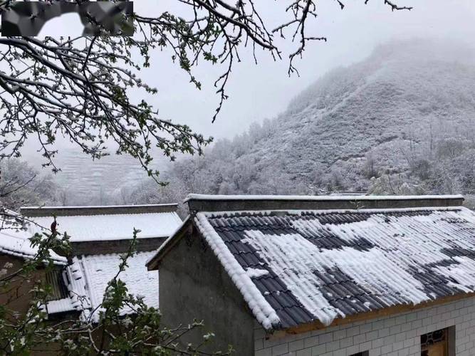 阿联酋下雪吗?西和县历史最冷多少度-图3 阿联酋下雪吗?西和县历史最冷多少度-图3
