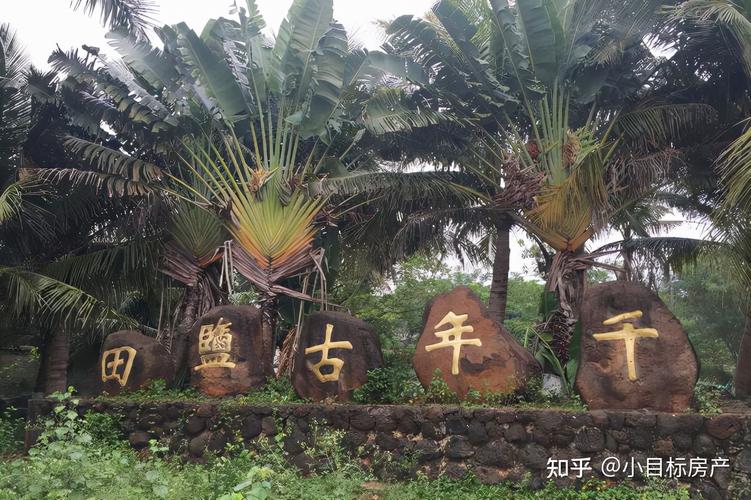 海南儋州都有哪些旅游景点?海南白马井夏天温度多少度-图2 海南儋州都有哪些旅游景点?海南白马井夏天温度多少度-图2