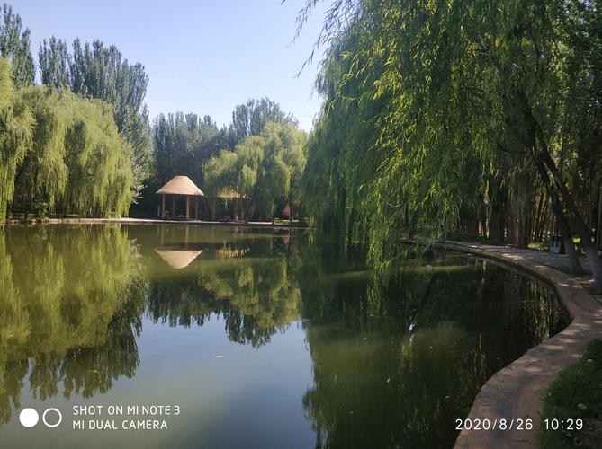 阿尔丁植物园要门票吗?包头市昆都仑门票多少钱-图2 阿尔丁植物园要门票吗?包头市昆都仑门票多少钱-图2