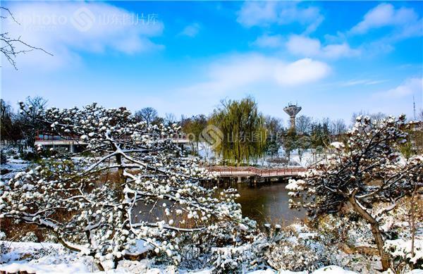 山东冬天最难熬的六个县?新沂市最冷多少度-图2 山东冬天最难熬的六个县?新沂市最冷多少度-图2