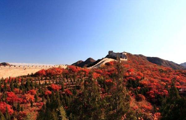 北京蟒山9月初有红叶吗?目前良乡pm2.5多少-图3 北京蟒山9月初有红叶吗?目前良乡pm2.5多少-图3