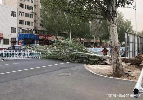 内蒙古为什么会出现16级大风?内蒙古大风多少级-图1 内蒙古为什么会出现16级大风?内蒙古大风多少级-图1