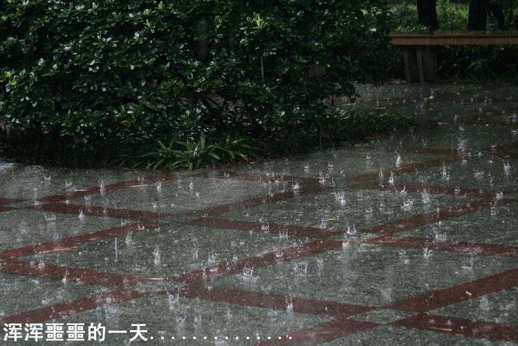 广东一年下雨大约有多少天下雨?南方一年有多少天雨天-图3 广东一年下雨大约有多少天下雨?南方一年有多少天雨天-图3