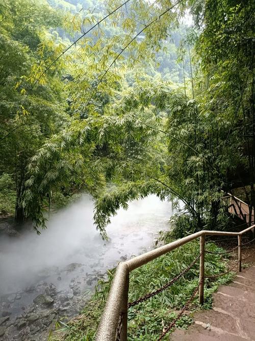 川西竹海景区温度多少度?平乐今天多少度-图3 川西竹海景区温度多少度?平乐今天多少度-图3