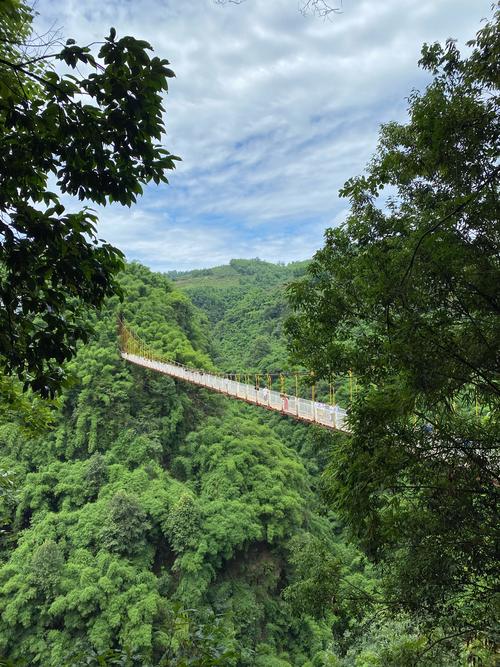 川西竹海景区温度多少度?平乐今天多少度-图2 川西竹海景区温度多少度?平乐今天多少度-图2