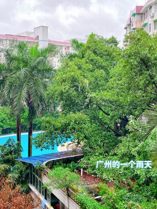 一年有多少天在下雨?广州一年中有多少雨天-图2 一年有多少天在下雨?广州一年中有多少雨天-图2