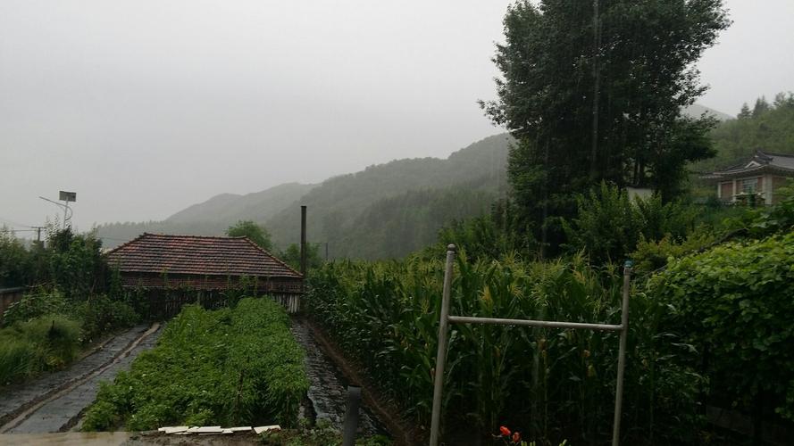 吉林雨多吗?吉林一年大概多少雨天-图2 吉林雨多吗?吉林一年大概多少雨天-图2