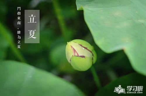 立夏什么气候?立夏的之后温度是多少-图1 立夏什么气候?立夏的之后温度是多少-图1