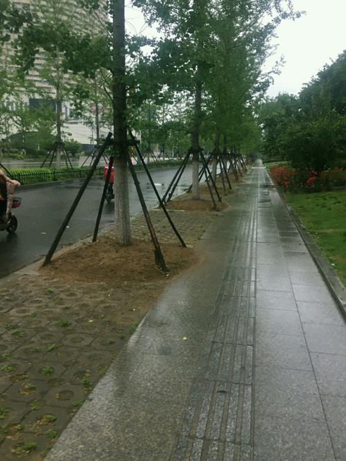 辽宁七月份天天下雨的原因?辽宁一年有多少雨天-图3 辽宁七月份天天下雨的原因?辽宁一年有多少雨天-图3