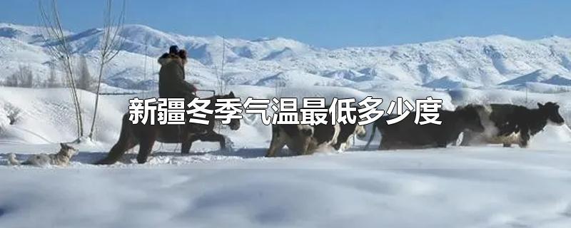 新疆的冬天冷吗?新疆冬天气温多少-图2 新疆的冬天冷吗?新疆冬天气温多少-图2