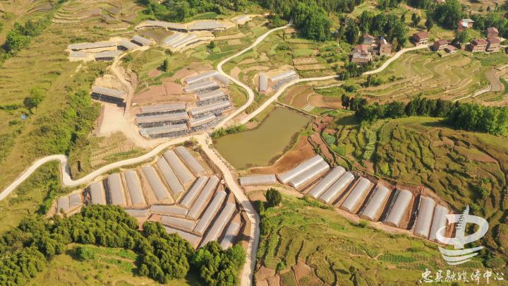 重庆市忠县善广乡高榜村邮编是什么?重庆忠县的区号是多少钱-图2 重庆市忠县善广乡高榜村邮编是什么?重庆忠县的区号是多少钱-图2