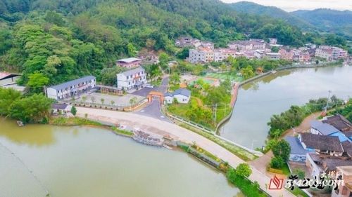 广东省兴宁市叶塘镇有多少人?文成龙川乡多少人口-图3 广东省兴宁市叶塘镇有多少人?文成龙川乡多少人口-图3